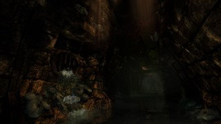 Illustration of Amnesia: Collection