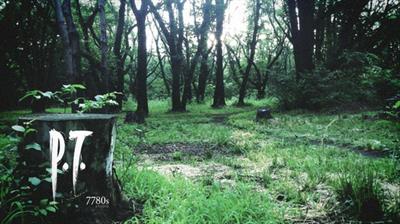 P.T. - Banner (World) - 516x290