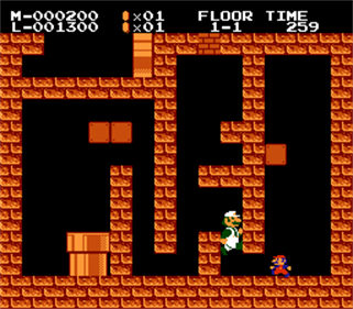 Mario's Keep CO-OP - Screenshot - Gameplay (null) - 256x224