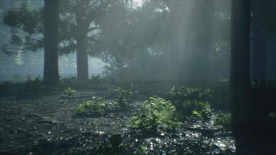 Wakamarina Valley, New Zealand - Screenshot - Gameplay (null) - 1920x1080