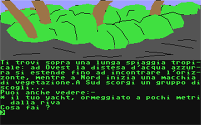 Alan Simmons: Bucaneer - Screenshot - Gameplay (null) - 320x200