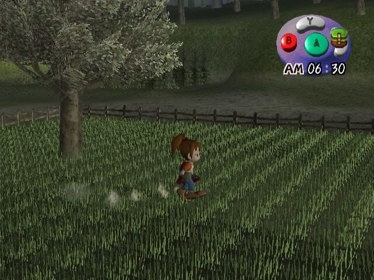 Harvest Moon: Another Wonderful Life - Screenshot - Gameplay (null) - 640x480