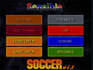 Sensible Soccer: European Champions - Screenshot - Game Title (null) - 640x480