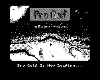 Pro Golf - Screenshot - Game Title (null) - 640x512