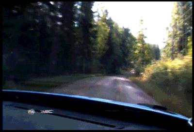 Jari-Matti Rally - Screenshot - Gameplay (null) - 649x444