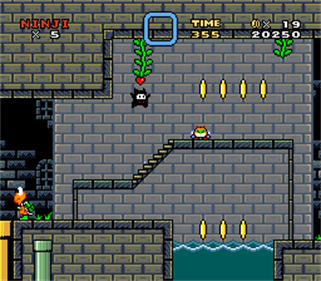 Super Ninji Land 2: A Ninji's Journey - Screenshot - Gameplay (World) - 256x224