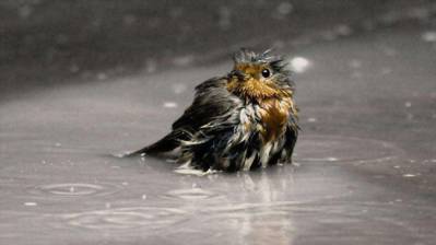 Chillax HD - Screenshot - Gameplay (World) - 1000x562