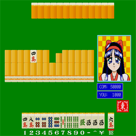 Pai Koukan Kyou Kou Kan Nakoruru Hen - Screenshot - Gameplay (null) - 512x512