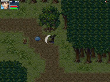 Curse of Silence - Screenshot - Gameplay (United States) - 320x240