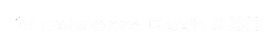Mushroom Dash #30 - Clear Logo (World) - 700x120