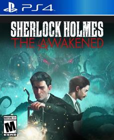 Sherlock Holmes The Awakened - Fanart - Box - Front (null) - 805x986