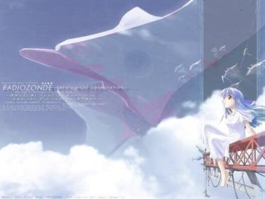 Radio Zonde - Fanart - Box - Front (World) - 528x396