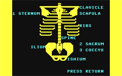 Learn the Bones - Screenshot - Gameplay (null) - 320x200