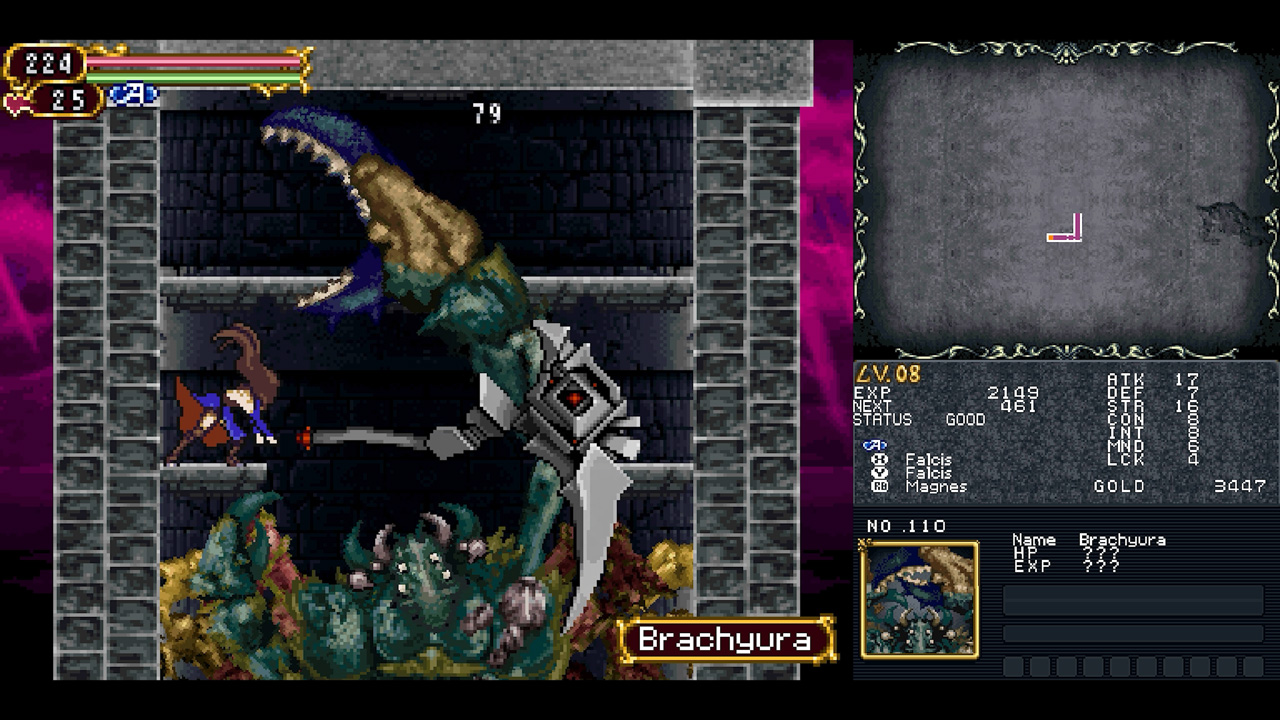 Illustration of Castlevania Dominus Collection