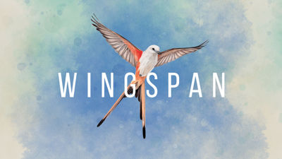Wingspan - Fanart - Background (null) - 1368x770
