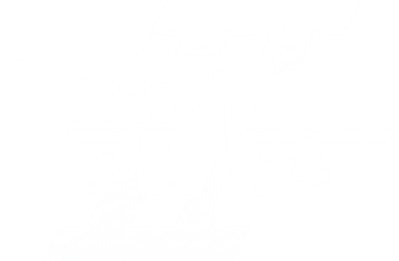 Andro Dunos 2 - Clear Logo (null) - 3026x1978