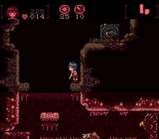 Super Junkoid DX - Screenshot - Gameplay (null) - 256x224