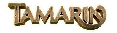Tamarin - Clear Logo (North America) - 640x180
