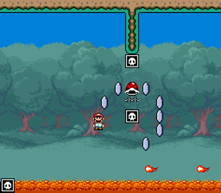 Ninja World 2 - Screenshot - Gameplay (null) - 256x224