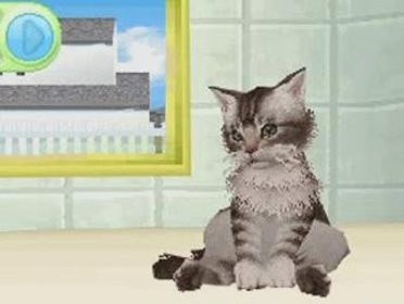 Petz Cat: Superstar - Screenshot - Gameplay (null) - 345x260