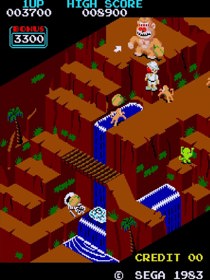 Congo Bongo - Screenshot - Gameplay (null) - 1080x1440