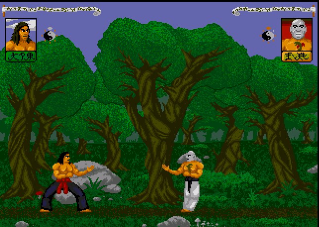 Illustration of Supreme Fighter