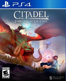 Citadel: Forged with Fire - Fanart - Box - Front (null) - 805x986