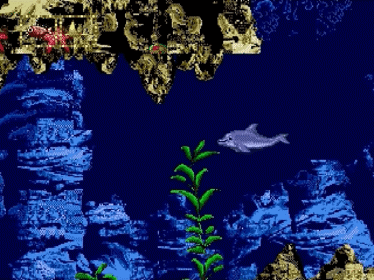 Ecco Jr. - Screenshot - Gameplay (null) - 640x480