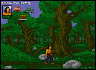 Supreme Fighter - Screenshot - Gameplay (null) - 652x472