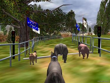 The Zoo Race - Screenshot - Gameplay (null) - 1024x768
