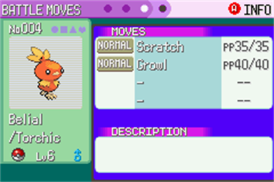 Pokémon Eccentric Emerald - Screenshot - Gameplay (null) - 240x160