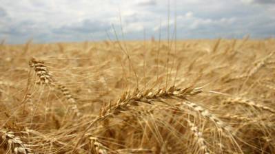 Chillax HD - Screenshot - Gameplay (World) - 1000x562