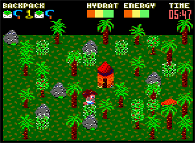Castaway - Screenshot - Gameplay (null) - 738x540