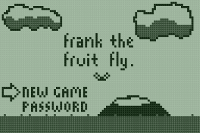 Frank the Fruit Fly - Screenshot - Game Title (World) - 320x213