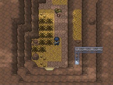 Pokémon Inritum - Screenshot - Gameplay (null) - 766x577