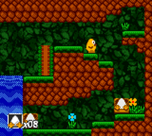 Toki Tori: Ultimate Edition - Screenshot - Gameplay (North America) - 160x144