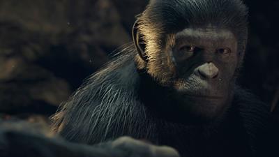 Planet of the Apes: Last Frontier - Fanart - Background (null) - 1920x1080
