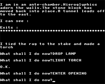 Tomb of Death - Screenshot - Gameplay (United Kingdom) - 640x512