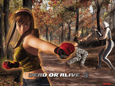 Dead or Alive 3 - Screenshot - Game Title (null) - 640x480