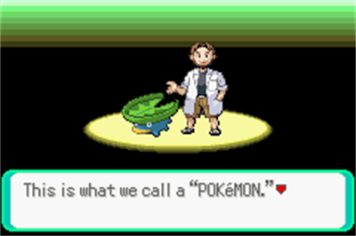 Pokémon Eccentric Emerald - Screenshot - Gameplay (null) - 240x160