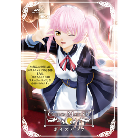 Custom Maid 3D - Advertisement Flyer - Front (World) - 500x500