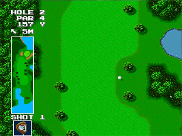 Power Golf - Screenshot - Gameplay (North America) - 640x480