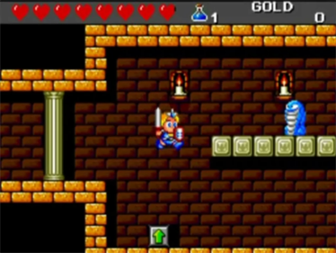 Dragon's Curse - Screenshot - Gameplay (North America) - 640x480