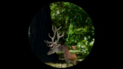 Fierce Game Hunting - Screenshot - Gameplay (World) - 1000x562