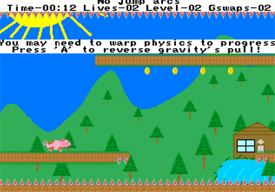 Gravity pig - Screenshot - Gameplay (null) - 633x442