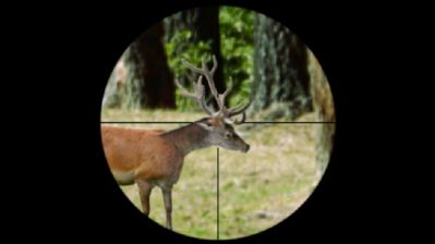 Fierce Game Hunting - Screenshot - Gameplay (World) - 1000x562