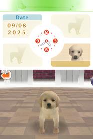 Nintendogs: Lab & Friends - Screenshot - Gameplay (null) - 512x768