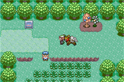 Pokémon Emerald Chaos Ambulation - Screenshot - Gameplay (World) - 240x160