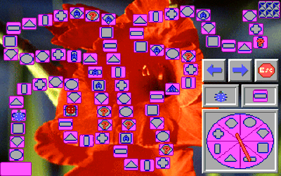 Animated Bugs - Screenshot - Gameplay (null) - 320x200