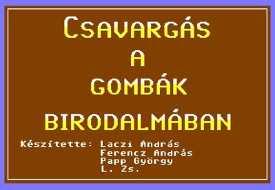 Csavargás a Gombák Birodalmában - Screenshot - Game Title (null) - 619x428
